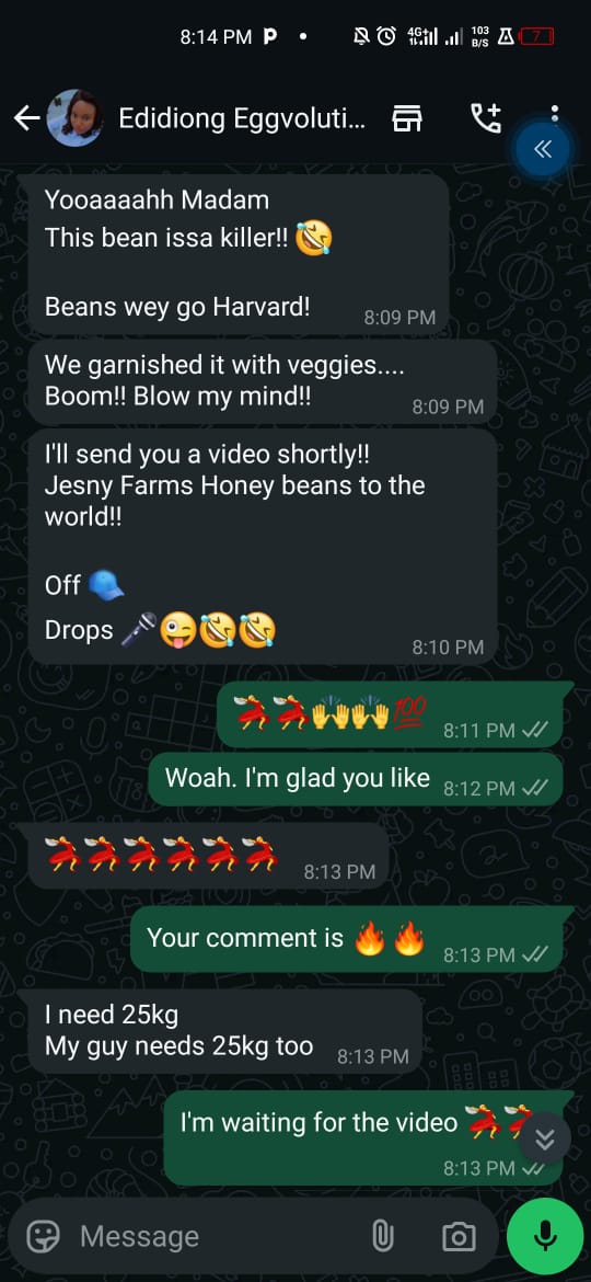 WhatsApp testimonial 7